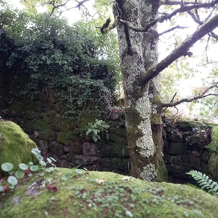 Cabo De Arans * Oroso