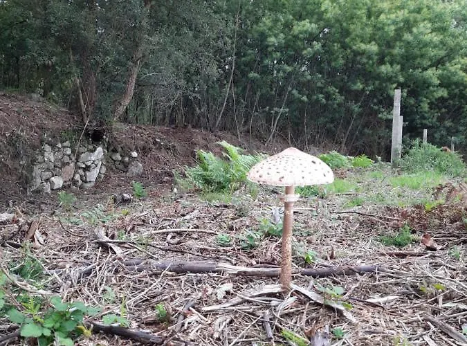 Cabo De Aráns Oroso